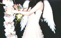 长月烬明在线观看免费观看完整版